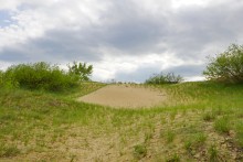 Геология и природа берегов реки Калитвы у хуторов Ленина и Рудаков