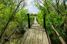 Геология и природа берегов реки Калитвы у хуторов Ленина и Рудаков