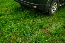 Геология и природа берегов реки Калитвы у хуторов Ленина и Рудаков