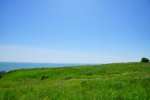 Комары-звонцы на Цимлянском побережье