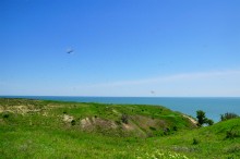 Комары-звонцы на Цимлянском побережье