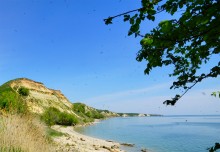 Комары-звонцы на Цимлянском побережье