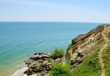 Комары-звонцы на Цимлянском побережье