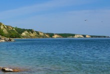 Комары-звонцы на Цимлянском побережье