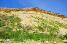 Красота цимлянских берегов