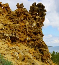 Красота цимлянских берегов