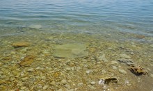 Красота цимлянских берегов