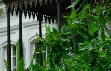 Прогулка в Старочеркасскую холодным майским вечером