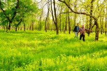 Братские могилы в парке Авиаторов