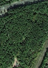 Братские могилы в парке Авиаторов