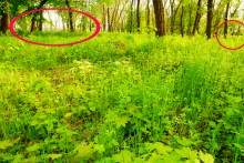 Братские могилы в парке Авиаторов