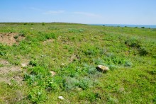 История станицы Цимлянской