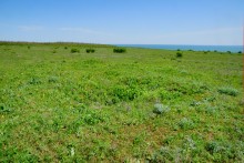 История станицы Цимлянской