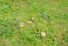 История станицы Цимлянской