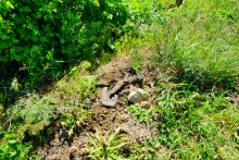 История станицы Цимлянской