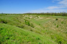 История станицы Цимлянской