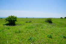 История станицы Цимлянской