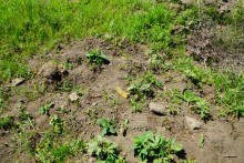 История станицы Цимлянской