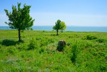 История станицы Цимлянской