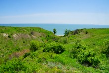 История станицы Цимлянской