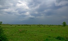 Холодная и сырая весна на реке Калитве