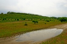 Холодная и сырая весна на реке Калитве