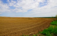 Весенние поля