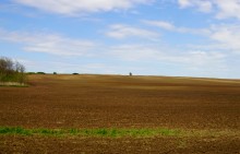 Весенние поля