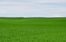 Весенние поля