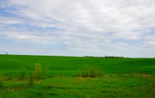 Весенние поля