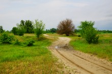 Путешествие по Калитве у хутора Свинарёв и бывшей мельнице