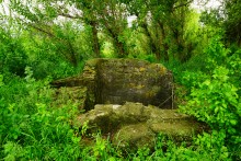 Путешествие по Калитве у хутора Свинарёв и бывшей мельнице