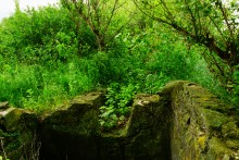 Путешествие по Калитве у хутора Свинарёв и бывшей мельнице