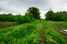 Путешествие по Калитве у хутора Свинарёв и бывшей мельнице