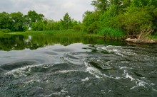 Путешествие по Калитве у хутора Свинарёв и бывшей мельнице