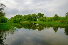 Путешествие по Калитве у хутора Свинарёв и бывшей мельнице