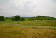 Путешествие по Калитве у хутора Свинарёв и бывшей мельнице