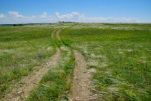 Прогулка по тузловским ковылям