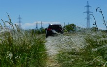 Прогулка по тузловским ковылям