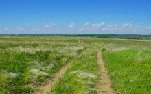 Прогулка по тузловским ковылям