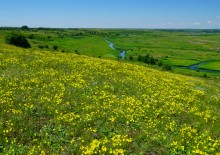Прогулка по тузловским ковылям