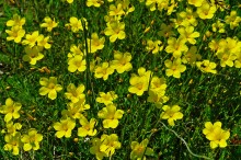 Прогулка по тузловским ковылям