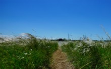 Прогулка по тузловским ковылям