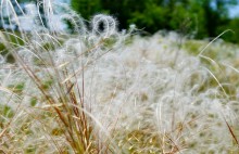 Путешествие по Калитве