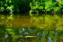 Путешествие по Калитве