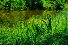 Путешествие по Калитве