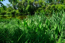 Путешествие по Калитве