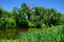 Путешествие по Калитве