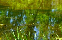 Путешествие по Калитве