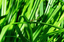 Путешествие по Калитве